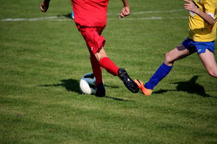 爱游戏体育在线app-国家女篮训练日程公开每日训练内容紧张高效，国家队女篮在哪里训练